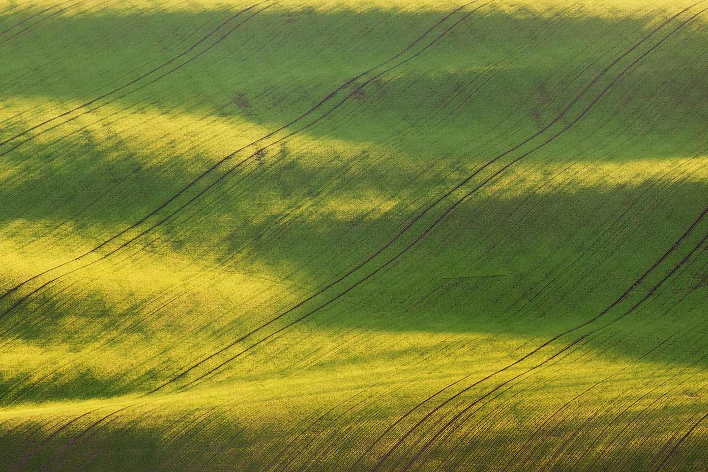 Studio di impatto ambientale