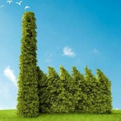 LOMBARDIA: MISURE URGENTI IN MATERIA DI A.I.A.
