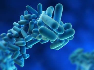 LEGIONELLA E COVID-19