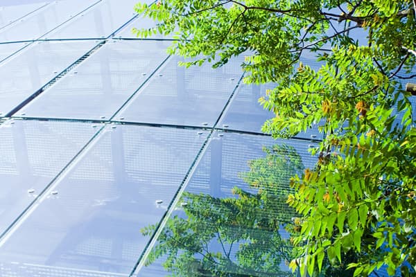 Ambiente, risorse ed energia