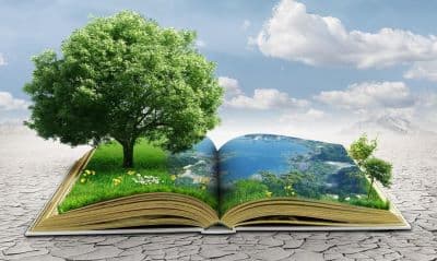 LA TUTELA DELL’AMBIENTE ENTRA IN COSTITUZIONE