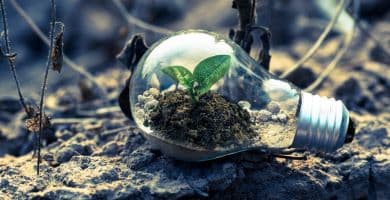 PUBBLICATO IN GAZZETTA IL PIANO PER LA TRANSIZIONE ECOLOGICA