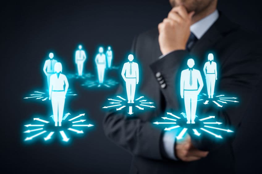 Organizzazione e sviluppo